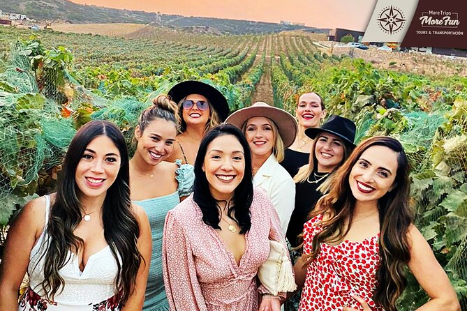 Valle De Guadalupe Winery and Brewery Tours - Return Details