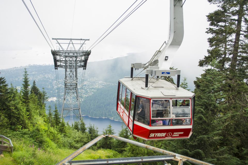 Vancouver: Grouse Mountain Express Tour With Skyride - Final Words