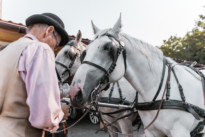 Vienna Horse-drawn Carriage Guided Tour - Common questions