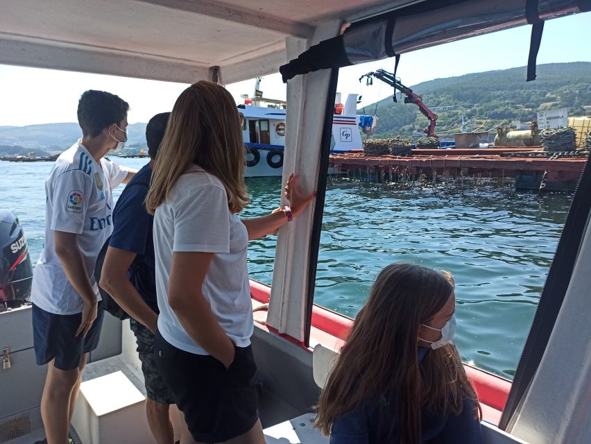 Vigo: Bay of San Simón Mussel Farming Tour - Meeting Point