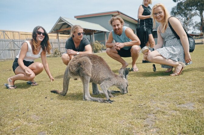 Welcome to Melbourne - Practical Travel Information