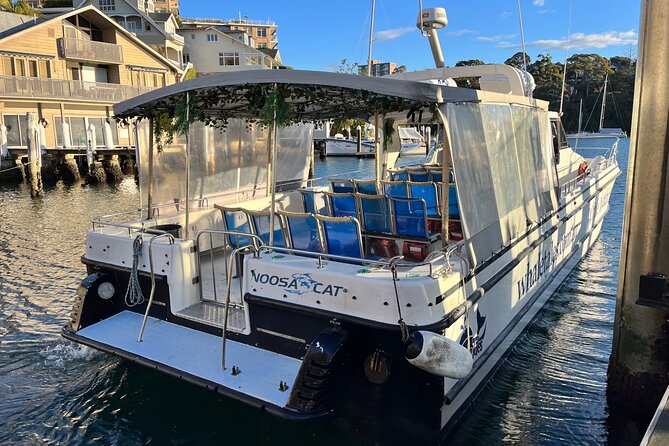 Whale Watching Boat Trip in Sydney - Scenic Views of Sydney Harbour