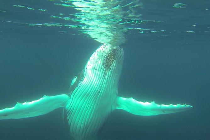 Whale Watching Dunsborough - Booking and Cancellation Policies