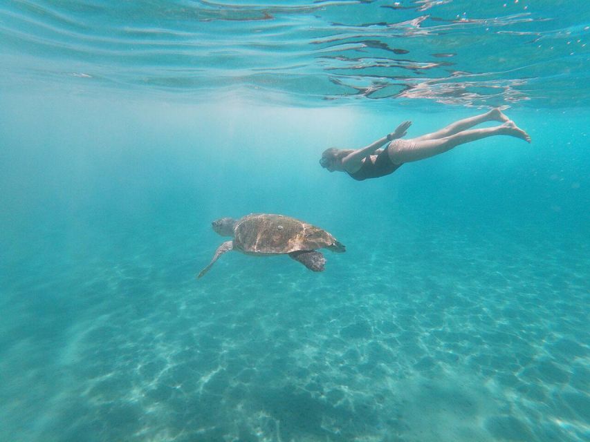 Zakynthos: Turtle Island Cruise With Swimming Stop - Common questions