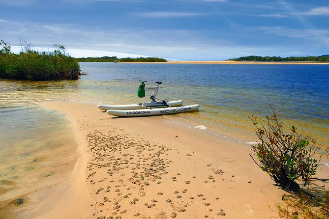 1 Hour Self Guided Water Bike Tour of the Noosa River - Planning Your Noosa Visit