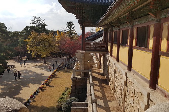 1DAY Gyeongju City Tour From BUSAN - UNESCO World Heritage Site - Experience Koreas Rich History