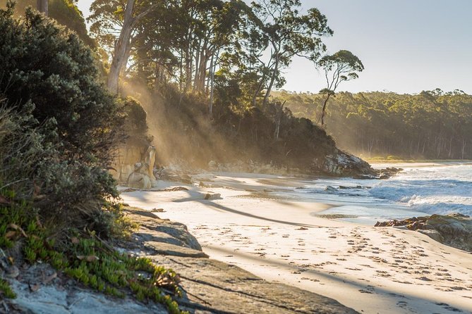 2 Day Bruny Island & Port Arthur Tour From Hobart - Booking and Cancellation Policy