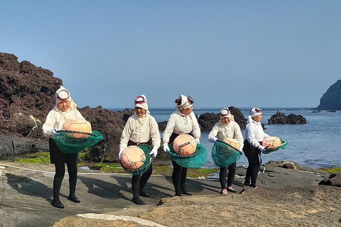 2 Day Private Pictures of Nature Tour in Jeju Island - Reviews and Ratings Summary