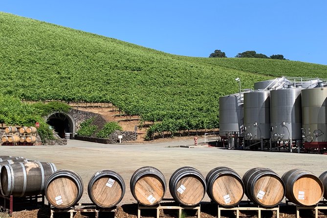 8-Hour Private Sonoma or Napa Wine Tour With Concierge Service - Common questions