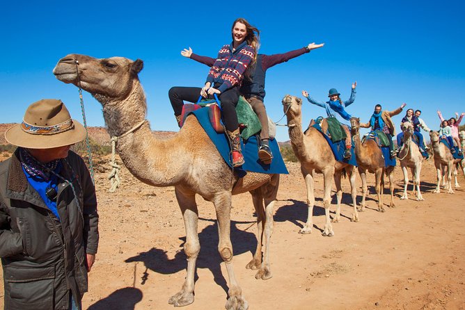 Alice Springs Camel Tour - Camel Tour Highlights and Features