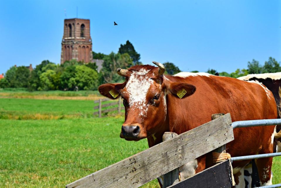 Amsterdam: Explore the Countryside and Villages by Bike - Final Words