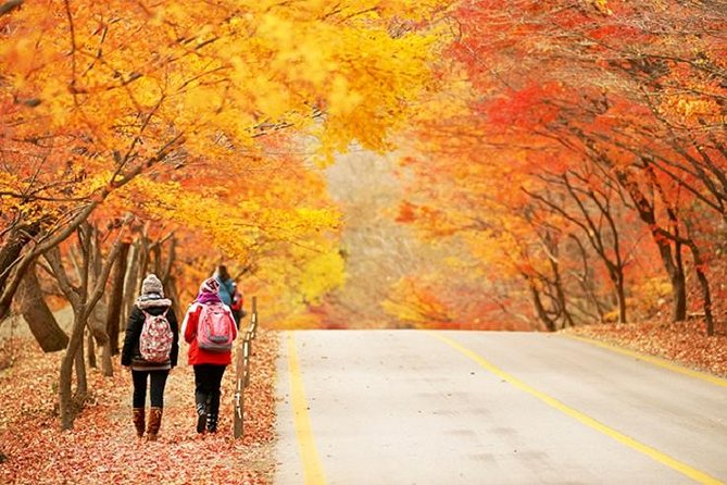 Autumn 3 Days Jeonju&Mt. Naejansan&Seoul on 4-12 Nov - What to Expect on This Tour