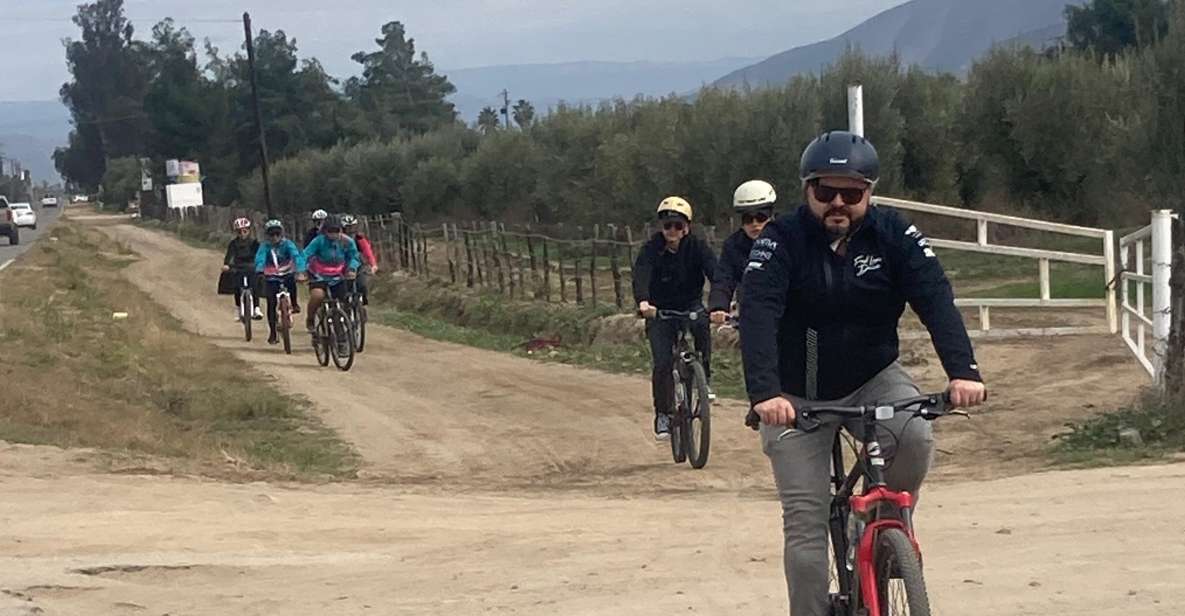 Bike and Wine Tasting Across the Guadalupe Valley - Common questions