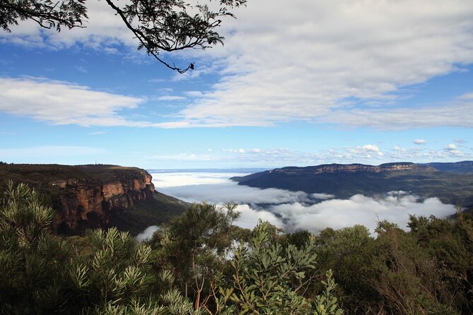 Blue Mountains Carbon Neutral Day Trip From Sydney - Booking and Cancellation Policy