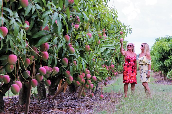 Boutique Atherton Tablelands Small-Group Food and Wine Tasting Tour From Cairns - Booking and Cancellation Policy