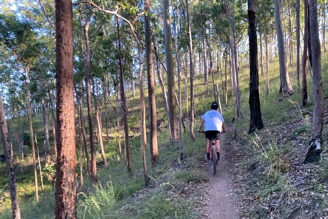 Brisbane Electric Mountain Bike Experience Tour - Scenic Trails and Route Overview