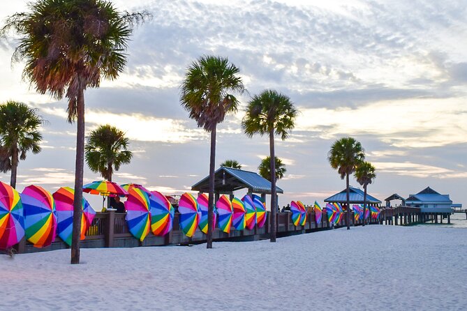 Clearwater Beach Dolphin Speedboat Adventure With Lunch & Transport From Orlando - Additional Resources