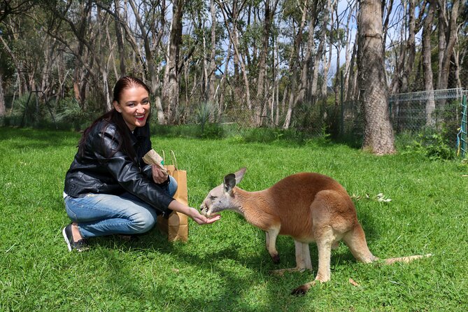 Cleland Wildlife Park Experience - From Adelaide Including Mt Lofty Summit - Cancellation and Refund Policy