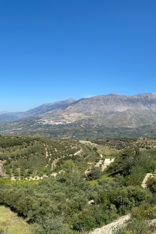 Crete: Jeep Safari, Mountains, Goat-Keeping & Cheese Making - Enjoying a Cretan Farewell