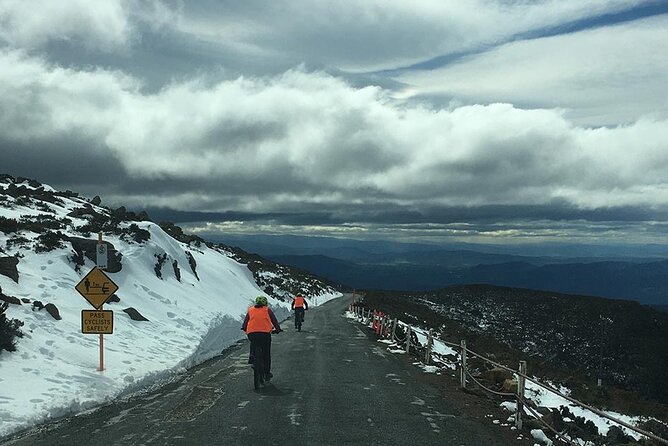 Easy Bike Tour - Mt Wellington Summit Descent & Rainforest Ride - Essential Tour Information