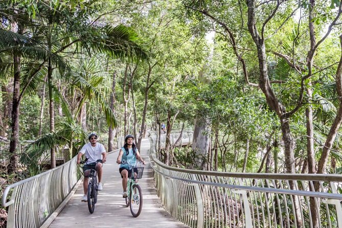 Ebike Noosa Sightseeing Tour - New! - Important Health and Safety Notes