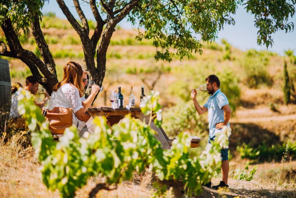 Falset: Guided Wine Tour to the Priorat by a Local - Itinerary