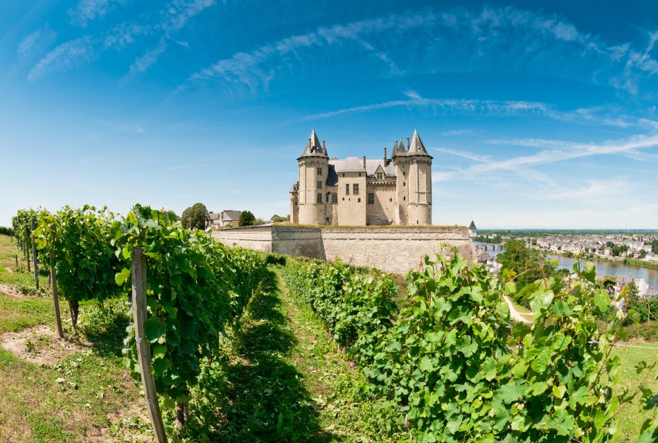 From Tours: Loire Valley Wineries Day Trip With Tastings - Provider