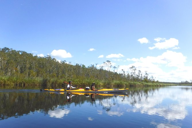 Full-Day Guided Noosa Everglades Kayak Tour - Reviews and Testimonials