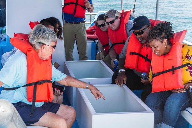 Glass-Bottom Boat Ride and Snorkel Tour in Cabo San Lucas - Final Words