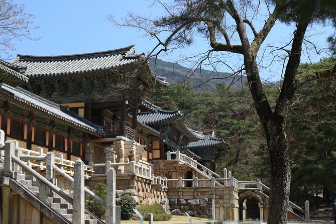 Gyeongju the UNESCO World Heritage Sites Tour(Private Tour) - Essential Tour Information