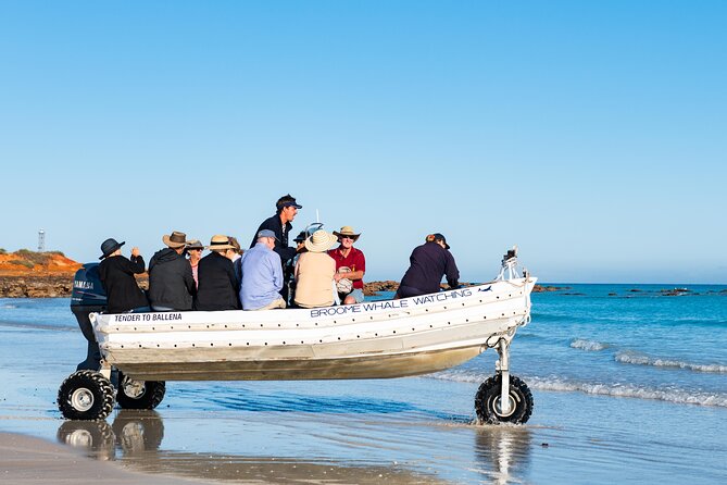 Half-Day Whale Watching Sunset Cruise From Broome - Important Reminders