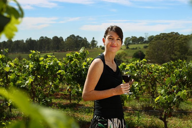 Hunter Valley Wine Tour From Sydney With Lunch and 3 Cellar Door Tastings - What to Expect on Tour