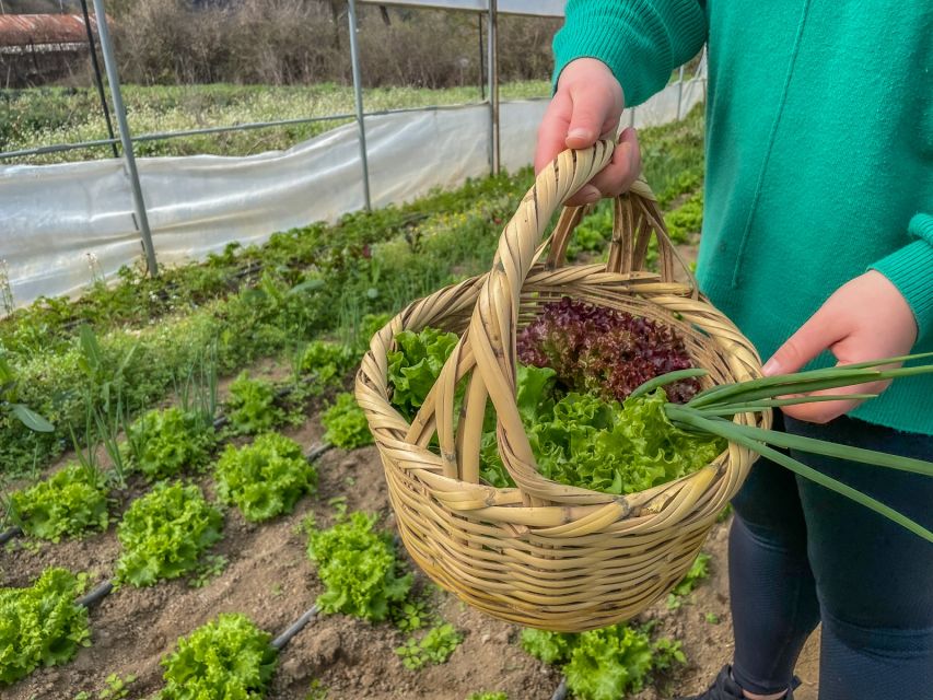 Ioannina: East Zagori Farming Experience & Cooking Class - Meeting Point and Directions