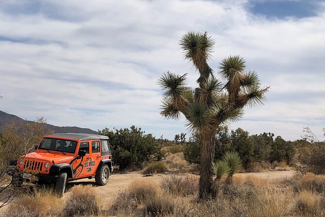 Joshua Tree National Park Offroad Tour - Visitor Recommendations