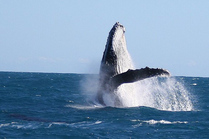 Kalbarri Whale Watching Tour Guided - Booking and Cancellation Policy