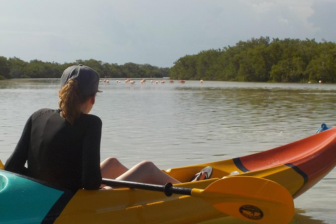 Kayaking Tour Through the Mangroves in Isla Holbox - Tour Itinerary and Timeline