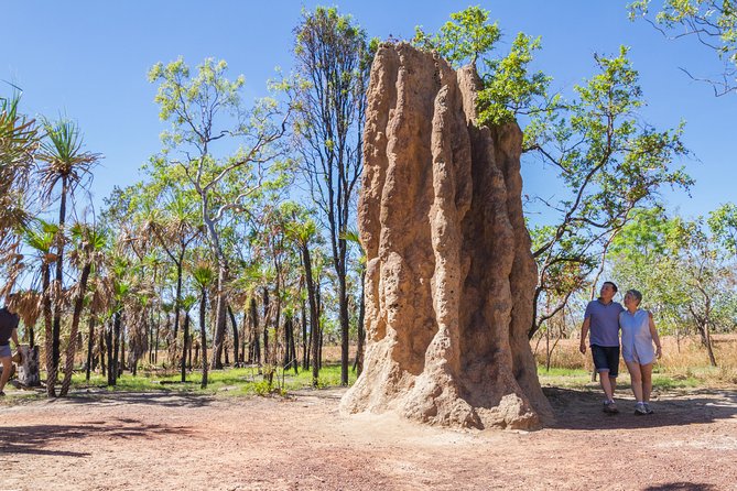 Litchfield National Park Day Tour From Darwin - What to Bring and Prepare