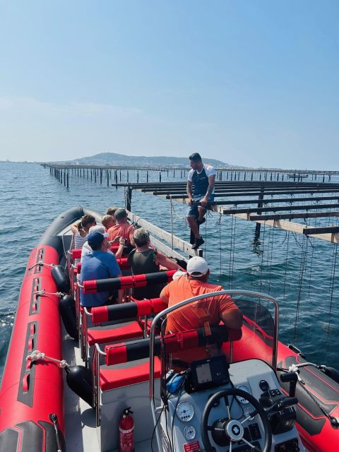 Montpellier: Half-Day Trip to Etang De Thau Lake With Lunch - Final Words