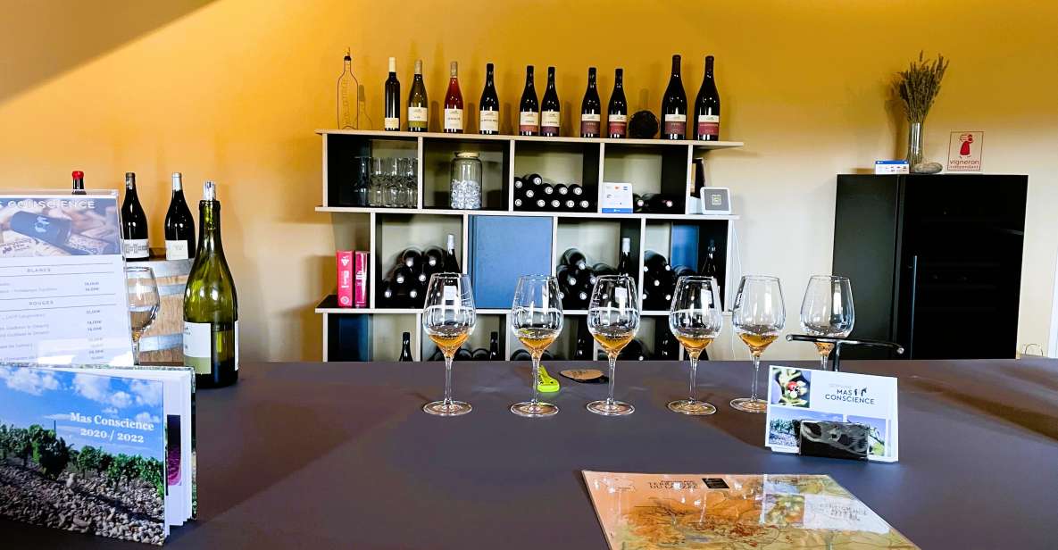 Montpellier:Half-Day Terrasses Du Larzac Wine and Grotto - Gift Option