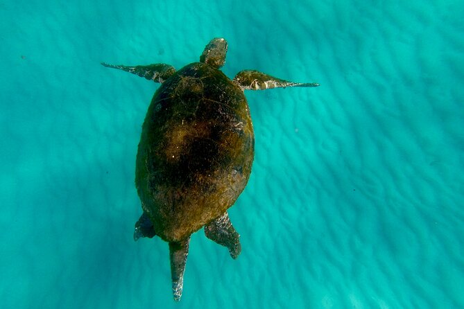 Moreton Island Day Trip (Kayak, Snorkel & Sandboard) Frm Brisbane or Gold Coast - Meeting and Pickup Points