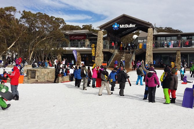 Mt Buller Day Trip From Melbourne - Essential Travel Tips