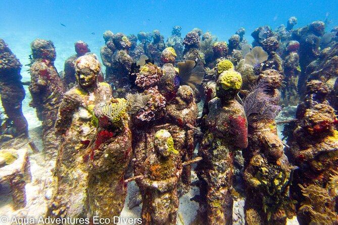 MUSA Museum and Colorful Reef 2 Tank Dive-Certified Divers - Common questions