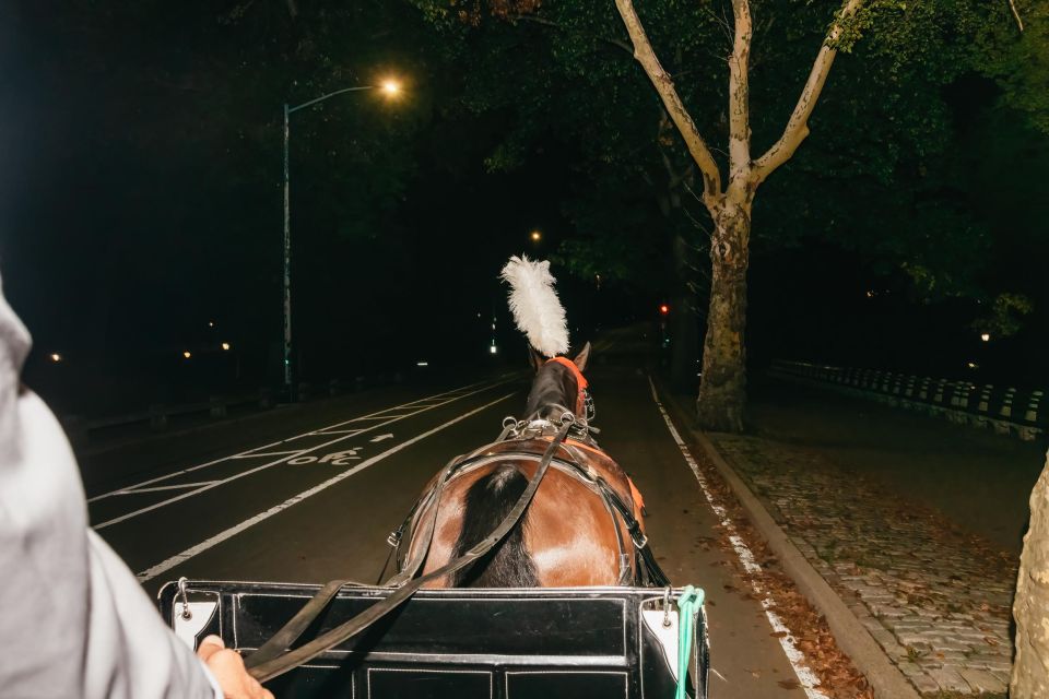 NYC MOONLIGHT HORSE CARRIAGE RIDE Through Central Park - Safety and Guidelines