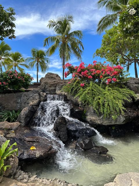 Oahu: Highlights of Oahu Small Group Tour - Directions for Contacting Local Partner