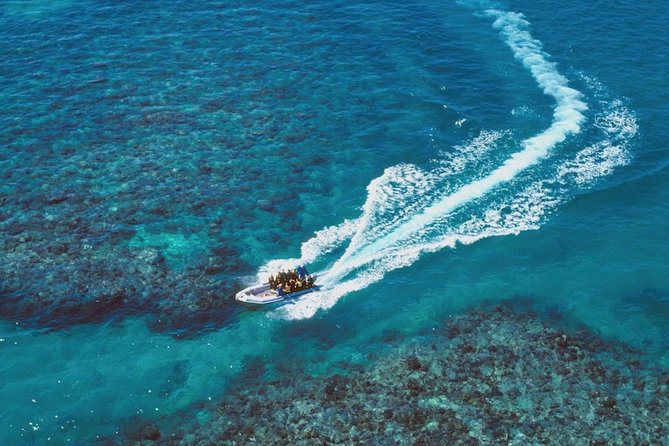 Ocean Freedom Great Barrier Reef Luxury Snorkel and Dive Cruise - Safety and Medical Considerations