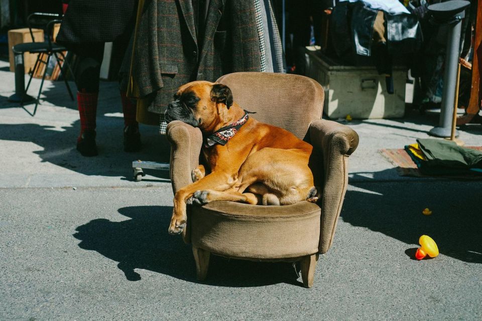 Paris: Les Puces De Saint-Ouen Flea Market In-App Audio Tour - Before You Start Touring