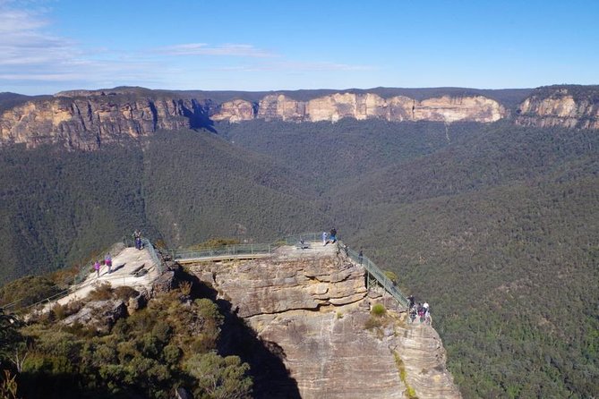 Private 1 Day Full Blue Mountains Tour Koalas Cruise Return - Reviews From Past Travelers