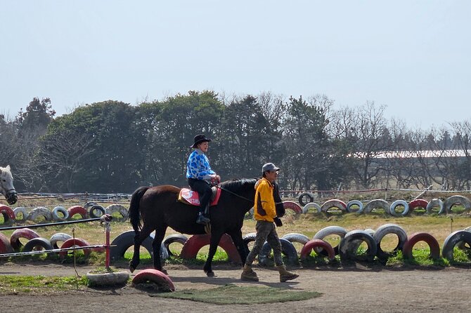 Private 2DAYS Tour a Lot of Experience Driver in Jeju Island - Pre-Tour Preparation Essentials