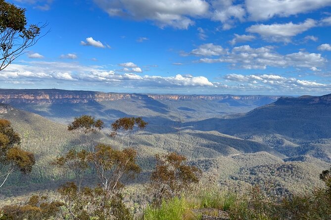 Private Blue Mountains Day Trip VIP From Sydney Luxury Mercedes - Private Tour Perks and Essentials