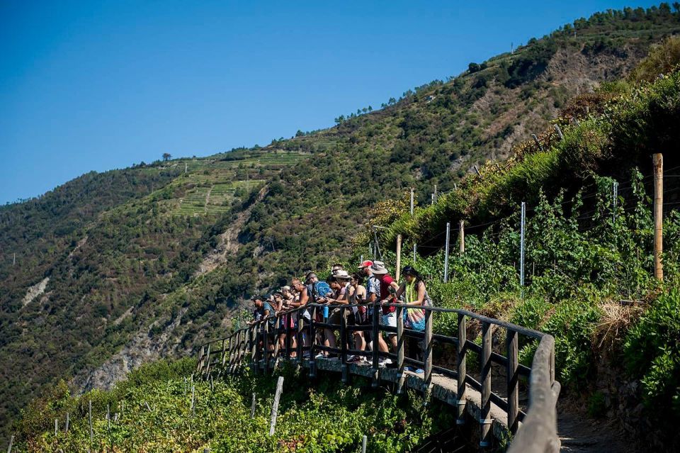 Private Cinque Terre Tour From Florence With Optional Hike - Restrictions